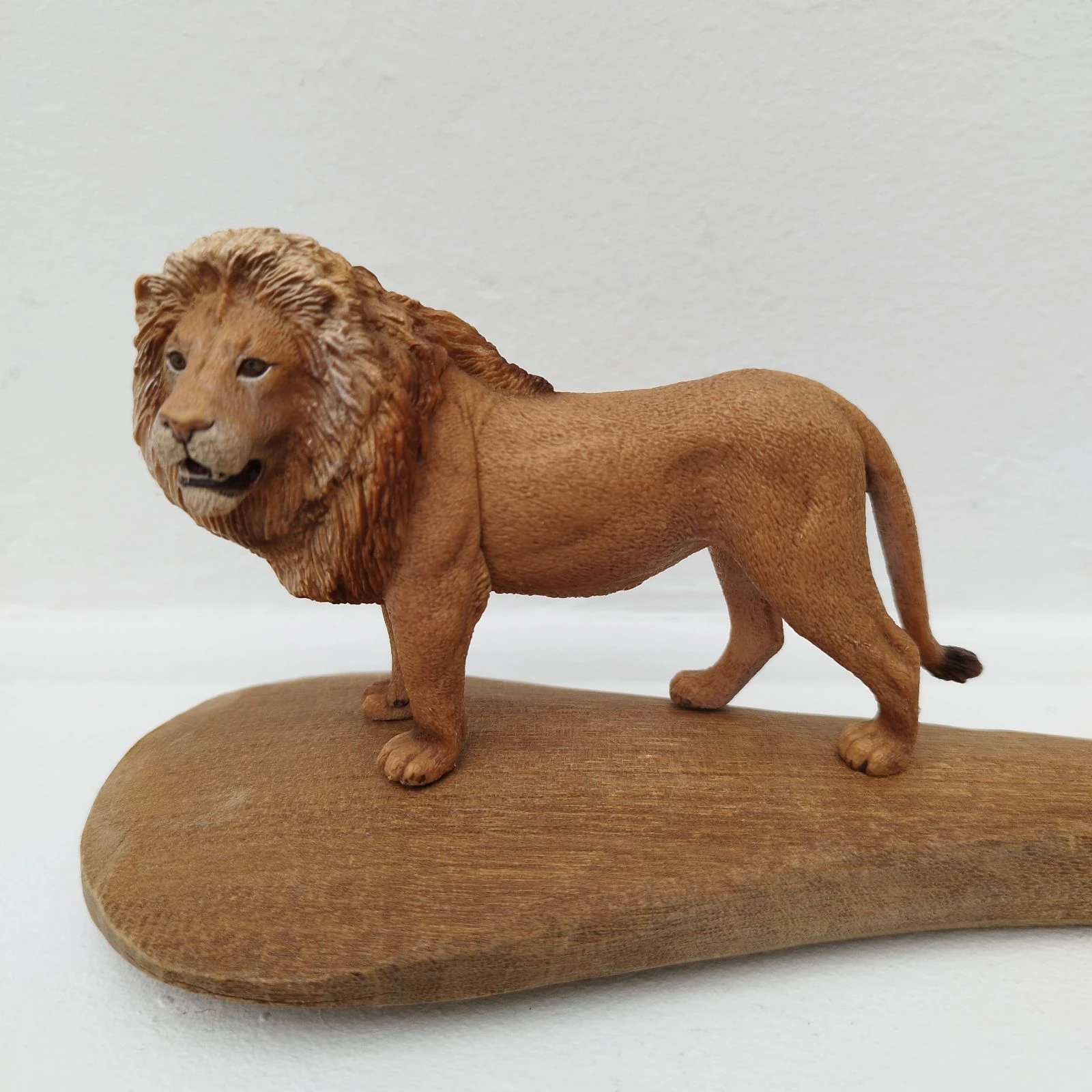 Lion #14373